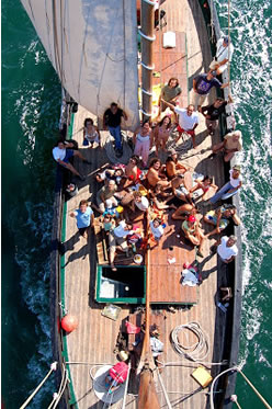 aluguer barco festa troia setubal aluguer barco festa troia setubal