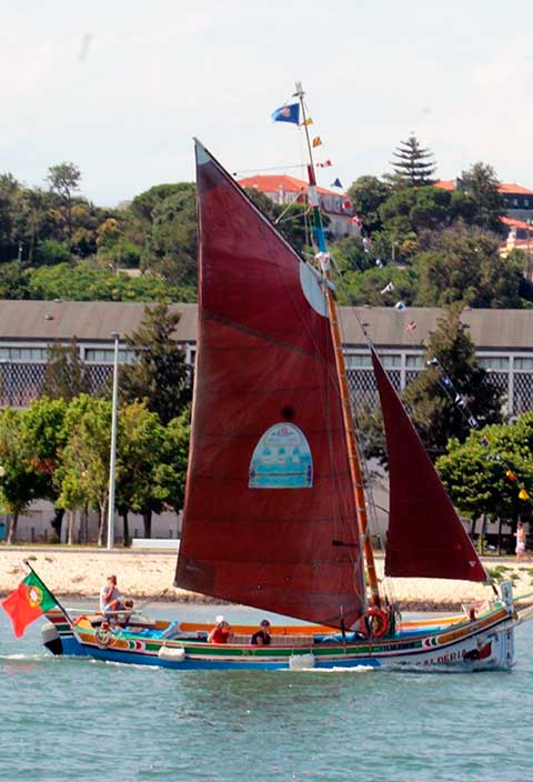 Passeio Barco Tradicional do Tejo